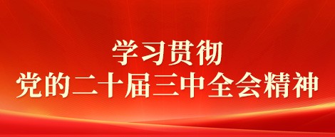 學(xué)習(xí)貫徹黨的二十屆三中全會精神